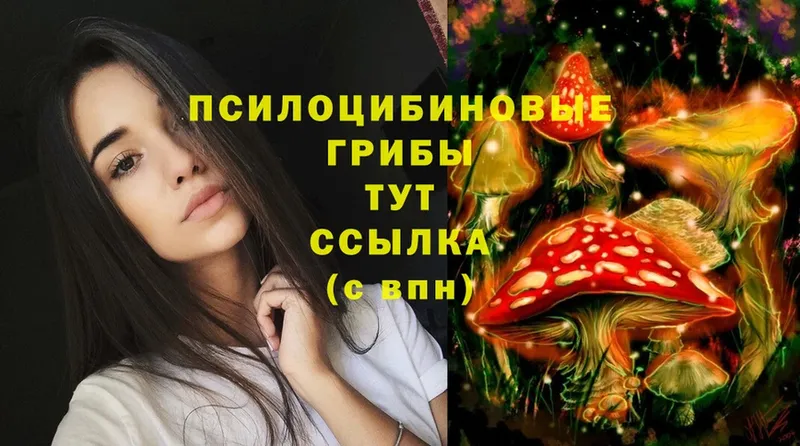 Псилоцибиновые грибы MAGIC MUSHROOMS  Злынка 